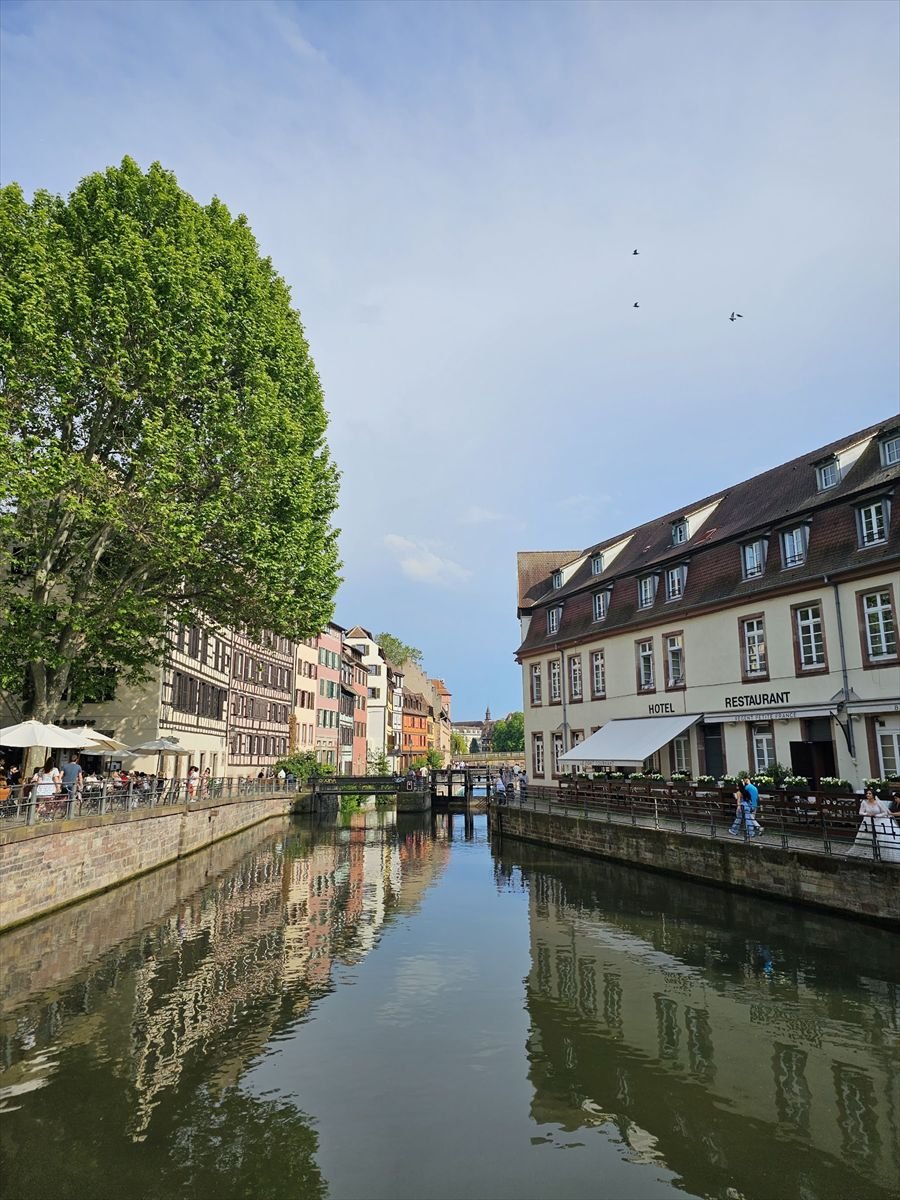Casas con entramado de madera junto a un canal en Estrasburgo