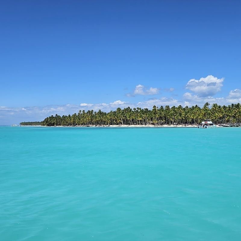 Isla de palmeras frente a un mar turquesa